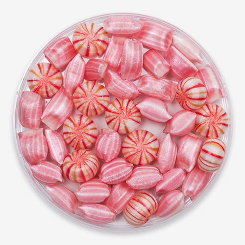 桜爛漫